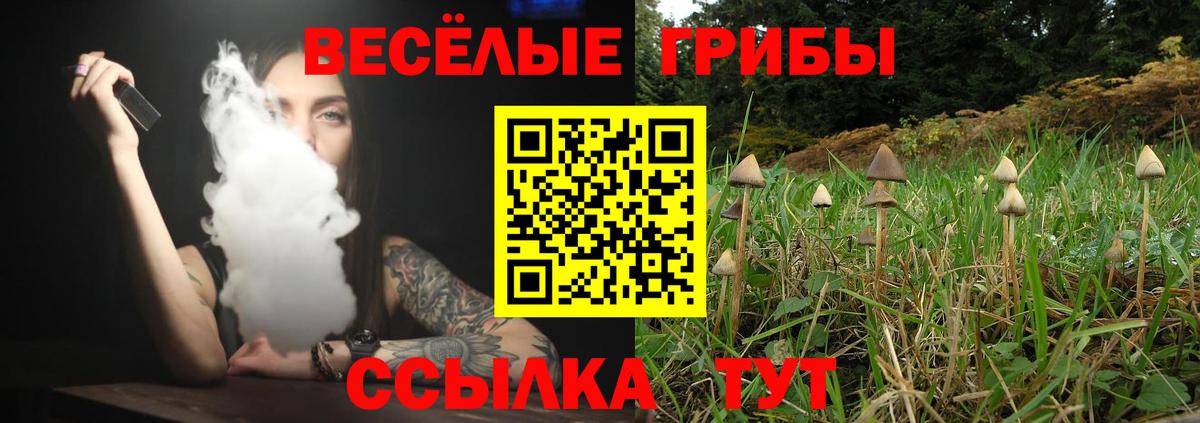 Галлюциногенные грибы ЛСД Раменское