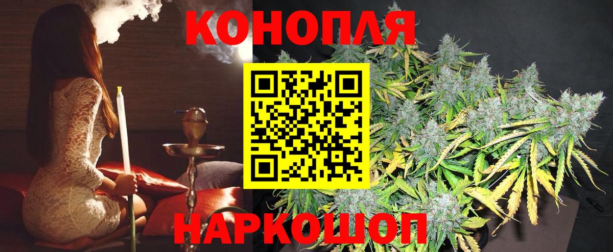 Каннабис OG Kush Раменское